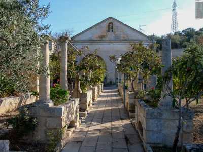 Tutta questa superficie era occupata dalle peschiere: si trattava di vasche dove si tenevano i pesci per l�allevamento o per ornamento e che contenevano acqua destinata all�irrigazione  